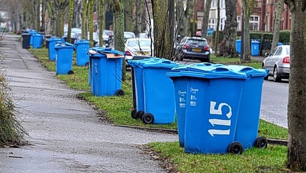 bluebins